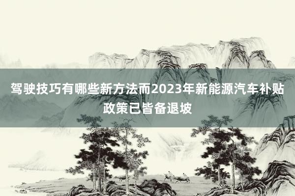 驾驶技巧有哪些新方法而2023年新能源汽车补贴政策已皆备退坡