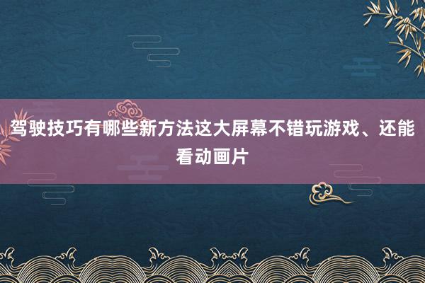 驾驶技巧有哪些新方法这大屏幕不错玩游戏、还能看动画片