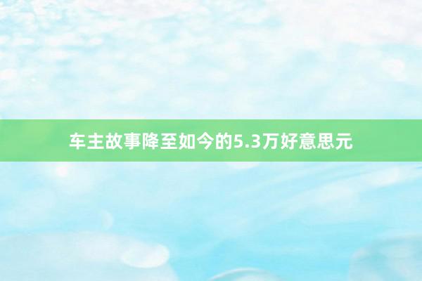 车主故事降至如今的5.3万好意思元