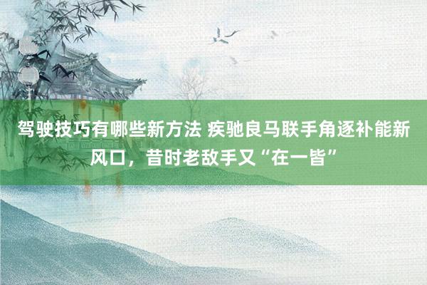 驾驶技巧有哪些新方法 疾驰良马联手角逐补能新风口，昔时老敌手又“在一皆”