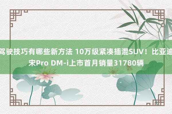 驾驶技巧有哪些新方法 10万级紧凑插混SUV！比亚迪宋Pro DM-i上市首月销量31780辆