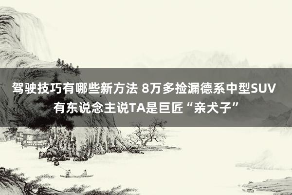 驾驶技巧有哪些新方法 8万多捡漏德系中型SUV 有东说念主说TA是巨匠“亲犬子”