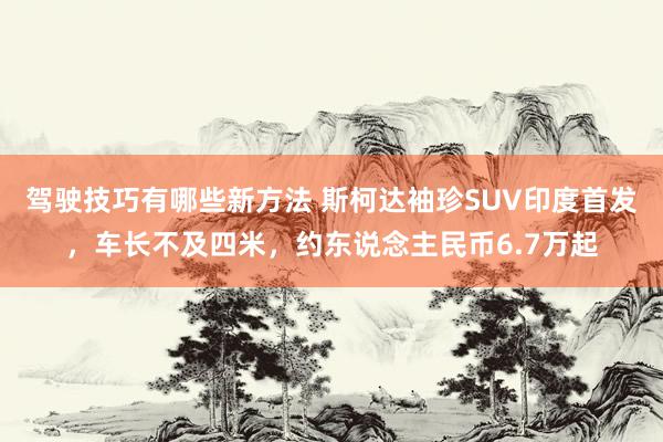 驾驶技巧有哪些新方法 斯柯达袖珍SUV印度首发，车长不及四米，约东说念主民币6.7万起