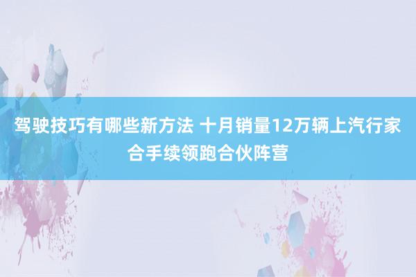 驾驶技巧有哪些新方法 十月销量12万辆上汽行家合手续领跑合伙阵营