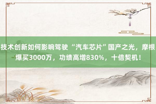 技术创新如何影响驾驶 “汽车芯片”国产之光，摩根爆买3000万，功绩高增830%，十倍契机！