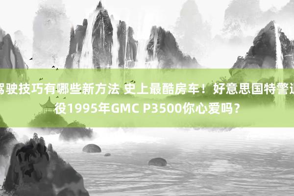 驾驶技巧有哪些新方法 史上最酷房车！好意思国特警退役1995年GMC P3500你心爱吗？