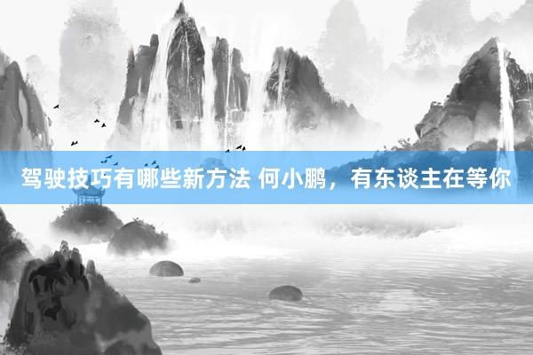 驾驶技巧有哪些新方法 何小鹏，有东谈主在等你