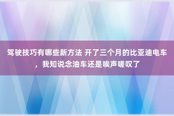 驾驶技巧有哪些新方法 开了三个月的比亚迪电车，我知说念油车还是唉声嗟叹了