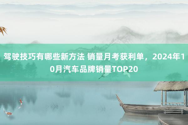 驾驶技巧有哪些新方法 销量月考获利单，2024年10月汽车品牌销量TOP20