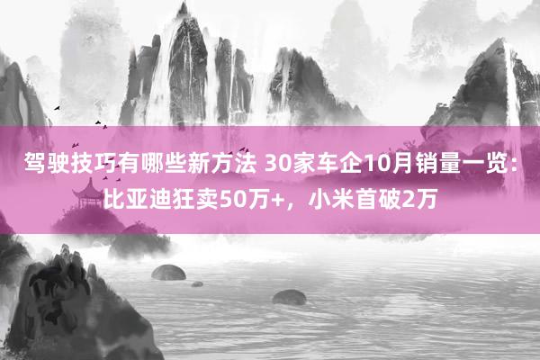 驾驶技巧有哪些新方法 30家车企10月销量一览：比亚迪狂卖50万+，小米首破2万