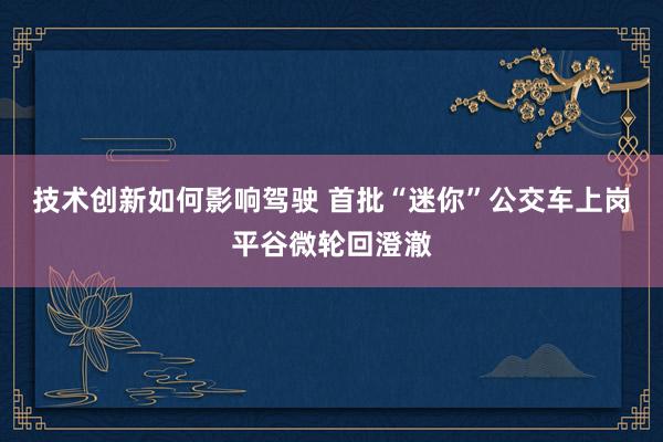 技术创新如何影响驾驶 首批“迷你”公交车上岗平谷微轮回澄澈