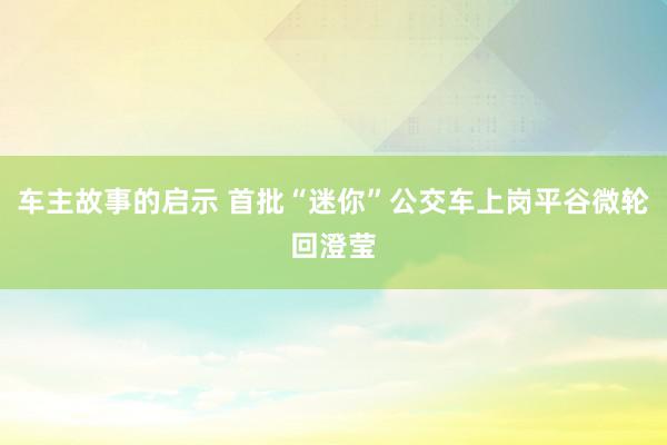 车主故事的启示 首批“迷你”公交车上岗平谷微轮回澄莹