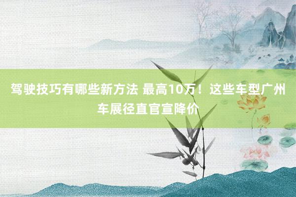 驾驶技巧有哪些新方法 最高10万！这些车型广州车展径直官宣降价