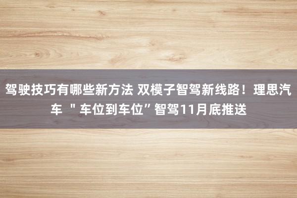 驾驶技巧有哪些新方法 双模子智驾新线路！理思汽车 ＂车位到车位”智驾11月底推送