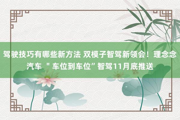 驾驶技巧有哪些新方法 双模子智驾新领会！理念念汽车 ＂车位到车位”智驾11月底推送