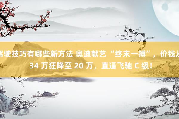 驾驶技巧有哪些新方法 奥迪献艺 “终末一搏”，价钱从 34 万狂降至 20 万，直逼飞驰 C 级！