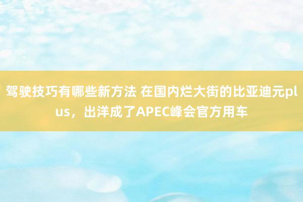 驾驶技巧有哪些新方法 在国内烂大街的比亚迪元plus，出洋成了APEC峰会官方用车