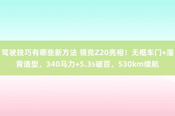 驾驶技巧有哪些新方法 领克Z20亮相！无框车门+溜背造型，340马力+5.3s破百，530km续航