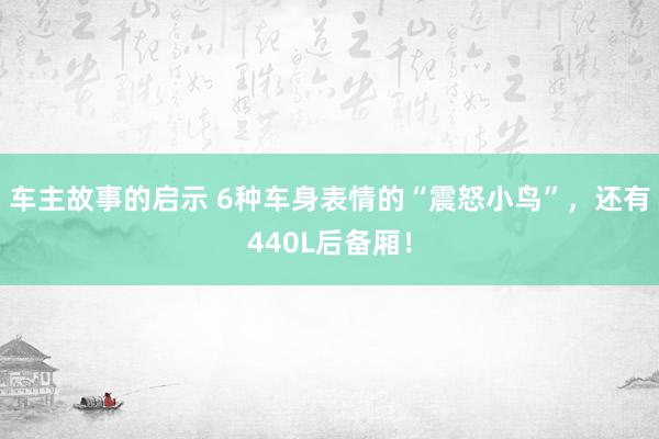 车主故事的启示 6种车身表情的“震怒小鸟”，还有440L后备厢！