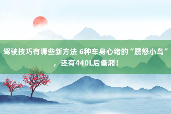 驾驶技巧有哪些新方法 6种车身心绪的“震怒小鸟”，还有440L后备厢！