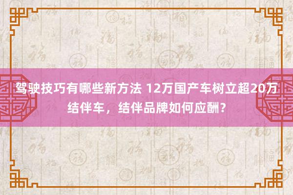 驾驶技巧有哪些新方法 12万国产车树立超20万结伴车，结伴品牌如何应酬？