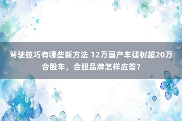 驾驶技巧有哪些新方法 12万国产车建树超20万合股车，合股品牌怎样应答？