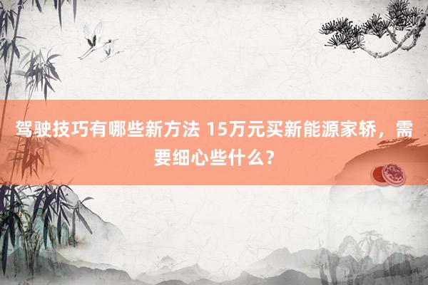 驾驶技巧有哪些新方法 15万元买新能源家轿，需要细心些什么？