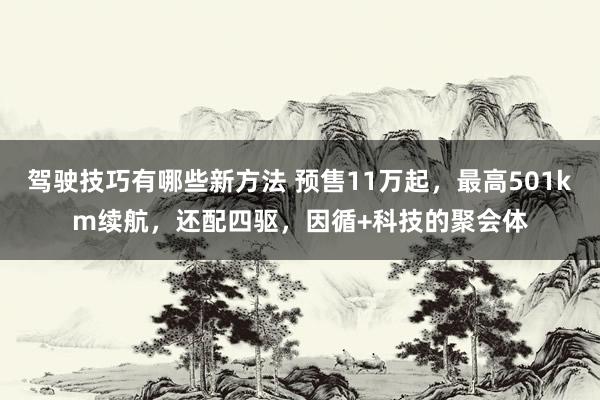 驾驶技巧有哪些新方法 预售11万起，最高501km续航，还配四驱，因循+科技的聚会体