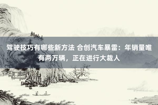 驾驶技巧有哪些新方法 合创汽车暴雷：年销量唯有两万辆，正在进行大裁人