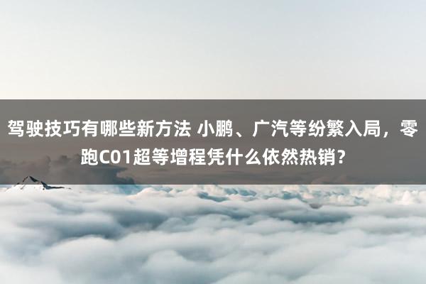 驾驶技巧有哪些新方法 小鹏、广汽等纷繁入局，零跑C01超等增程凭什么依然热销？