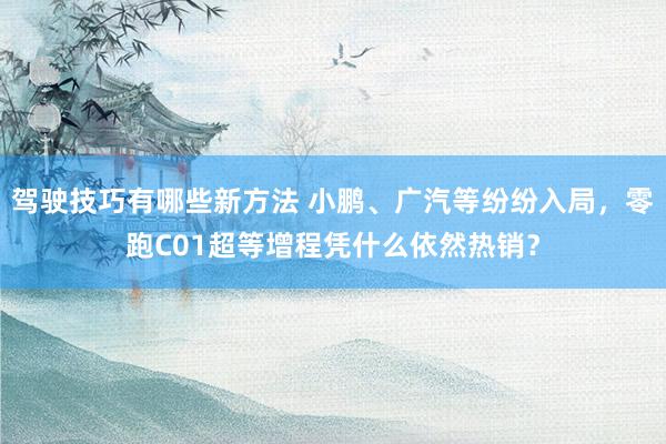 驾驶技巧有哪些新方法 小鹏、广汽等纷纷入局，零跑C01超等增程凭什么依然热销？