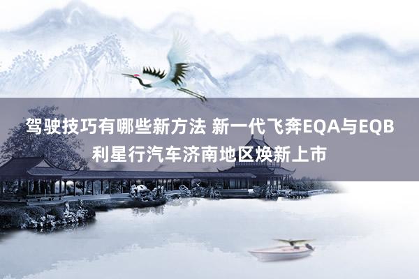 驾驶技巧有哪些新方法 新一代飞奔EQA与EQB利星行汽车济南地区焕新上市