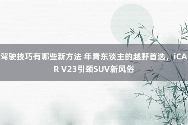 驾驶技巧有哪些新方法 年青东谈主的越野首选，iCAR V23引颈SUV新风俗