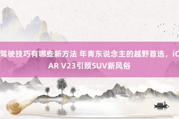 驾驶技巧有哪些新方法 年青东说念主的越野首选，iCAR V23引颈SUV新风俗