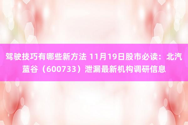 驾驶技巧有哪些新方法 11月19日股市必读：北汽蓝谷（600733）泄漏最新机构调研信息