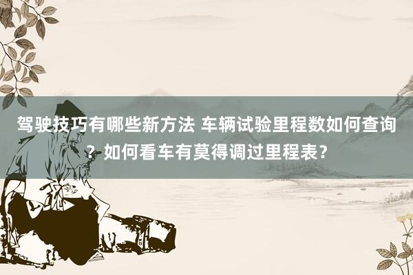 驾驶技巧有哪些新方法 车辆试验里程数如何查询？如何看车有莫得调过里程表？