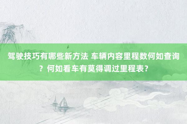 驾驶技巧有哪些新方法 车辆内容里程数何如查询？何如看车有莫得调过里程表？