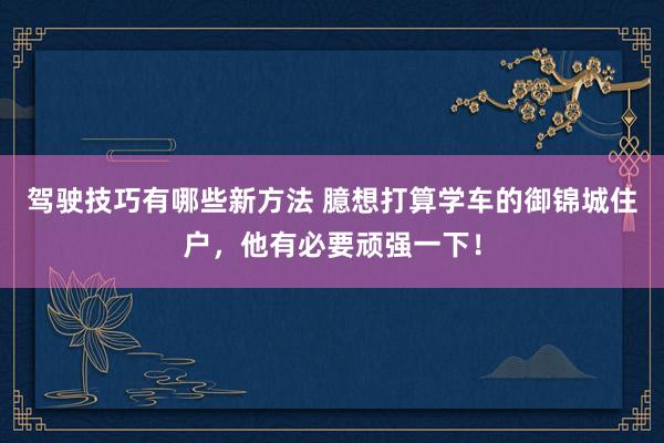 驾驶技巧有哪些新方法 臆想打算学车的御锦城住户，他有必要顽强一下！