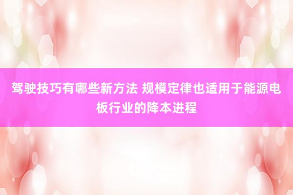 驾驶技巧有哪些新方法 规模定律也适用于能源电板行业的降本进程