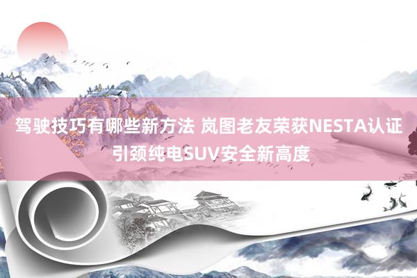 驾驶技巧有哪些新方法 岚图老友荣获NESTA认证 引颈纯电SUV安全新高度