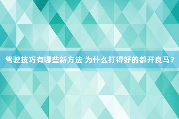 驾驶技巧有哪些新方法 为什么打得好的都开良马？