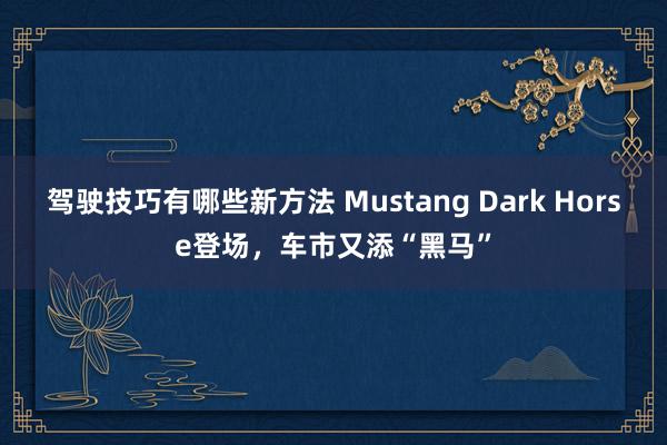 驾驶技巧有哪些新方法 Mustang Dark Horse登场，车市又添“黑马”