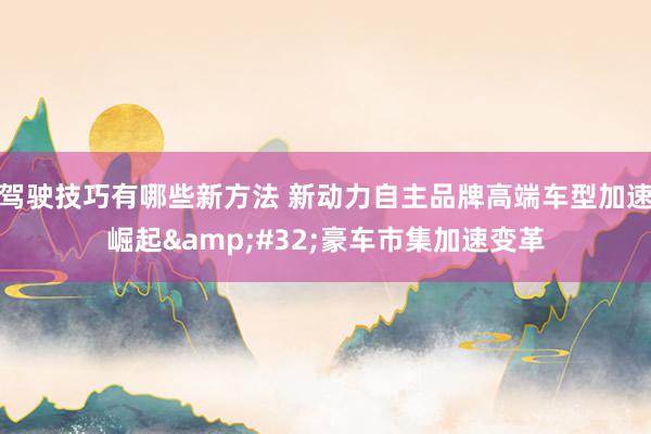 驾驶技巧有哪些新方法 新动力自主品牌高端车型加速崛起&#32;豪车市集加速变革