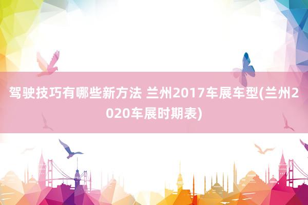 驾驶技巧有哪些新方法 兰州2017车展车型(兰州2020车展时期表)