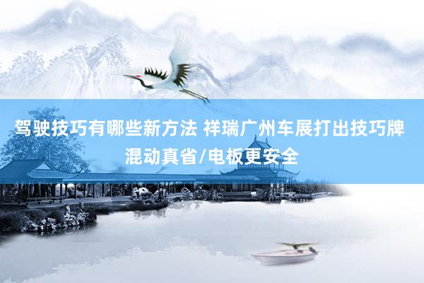 驾驶技巧有哪些新方法 祥瑞广州车展打出技巧牌 混动真省/电板更安全