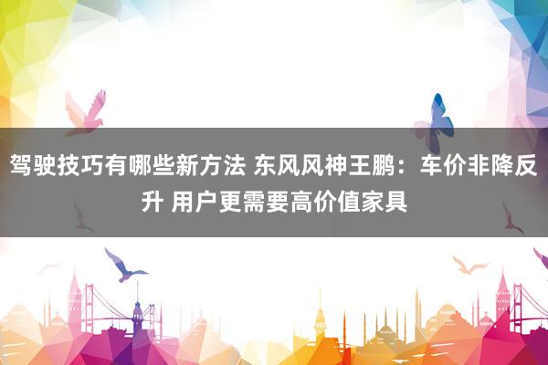 驾驶技巧有哪些新方法 东风风神王鹏：车价非降反升 用户更需要高价值家具