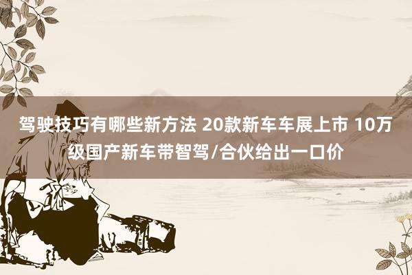 驾驶技巧有哪些新方法 20款新车车展上市 10万级国产新车带智驾/合伙给出一口价