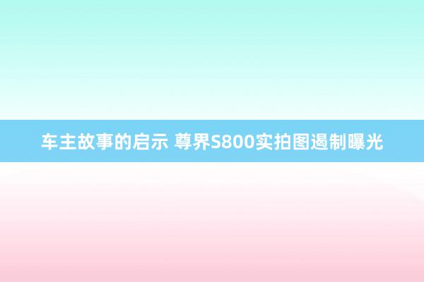 车主故事的启示 尊界S800实拍图遏制曝光