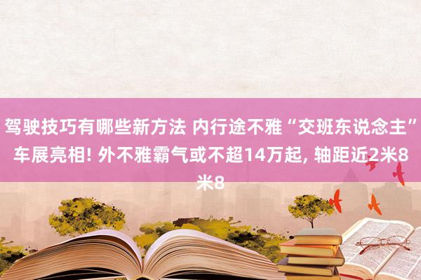 驾驶技巧有哪些新方法 内行途不雅“交班东说念主”车展亮相! 外不雅霸气或不超14万起, 轴距近2米8