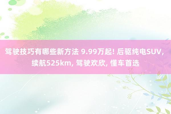 驾驶技巧有哪些新方法 9.99万起! 后驱纯电SUV, 续航525km, 驾驶欢欣, 懂车首选